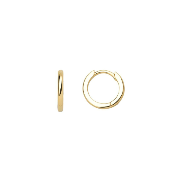 Xenox Damen Creolen Gold XS8660G