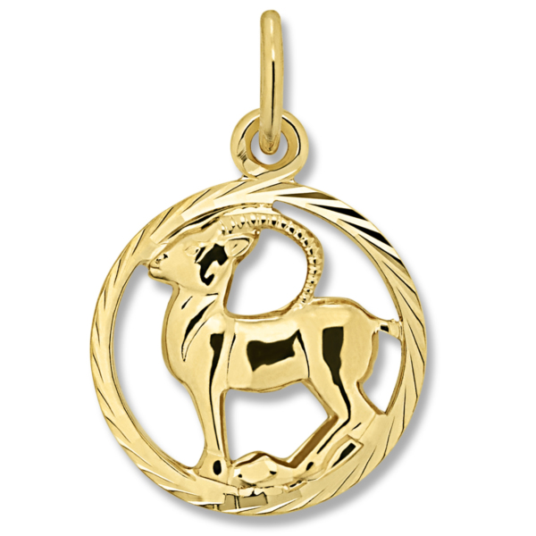 Steinbock Sternzeichen Anhänger aus 333 Gelbgold