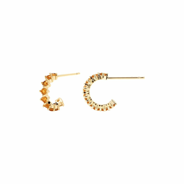 PD Paola Damen Creolen Citric Yellow-Bird Ohrringe Gold AR01-098-U